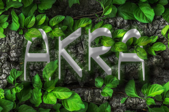 Akra: The Font That Elevates Your Brand’s Visual Story