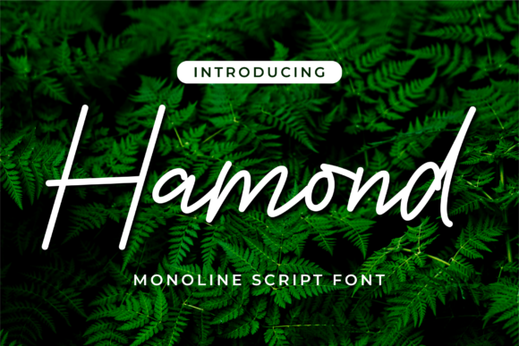 Hamond: A Script Handwritten Font for Editorial Design and Creative Expression