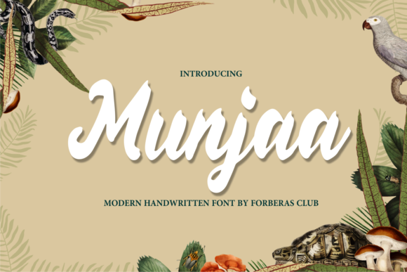Munjaa: A Bold Script Font for Creative Projects