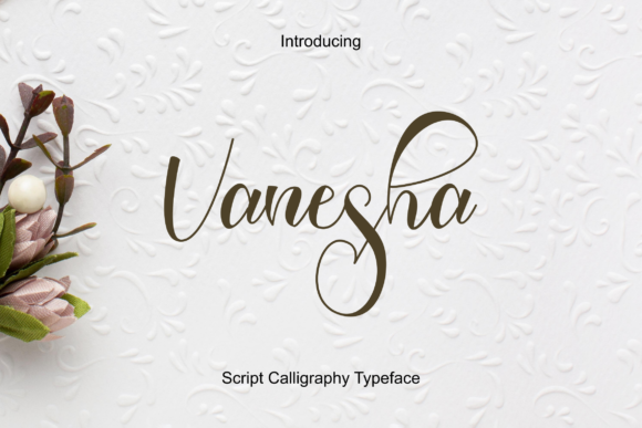 Vanesha: The Font That Elevates Your Brand’s Visual Story